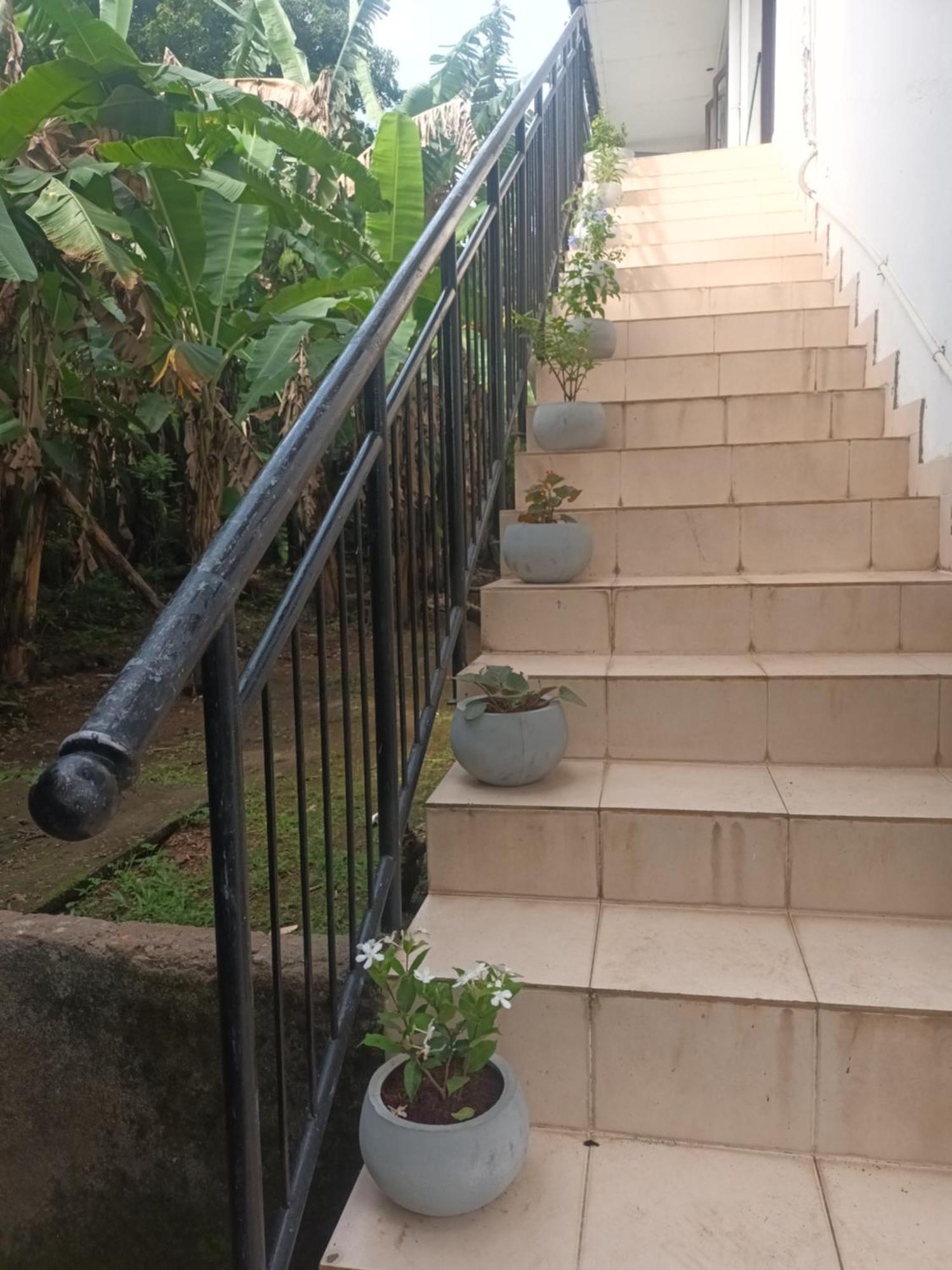 Lovely Flowers In Mount Lavinia Dehiwala-Mount Lavinia Kültér fotó